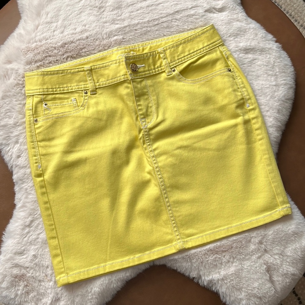 CACHE Skirt (CLST)‎